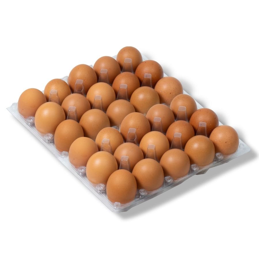 Telur Ayam Kampung
